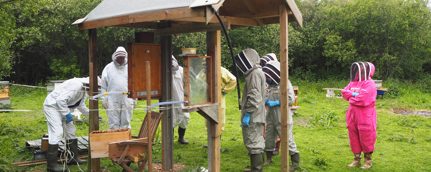 members of west cornwall beekeepers’ association at the training apiary