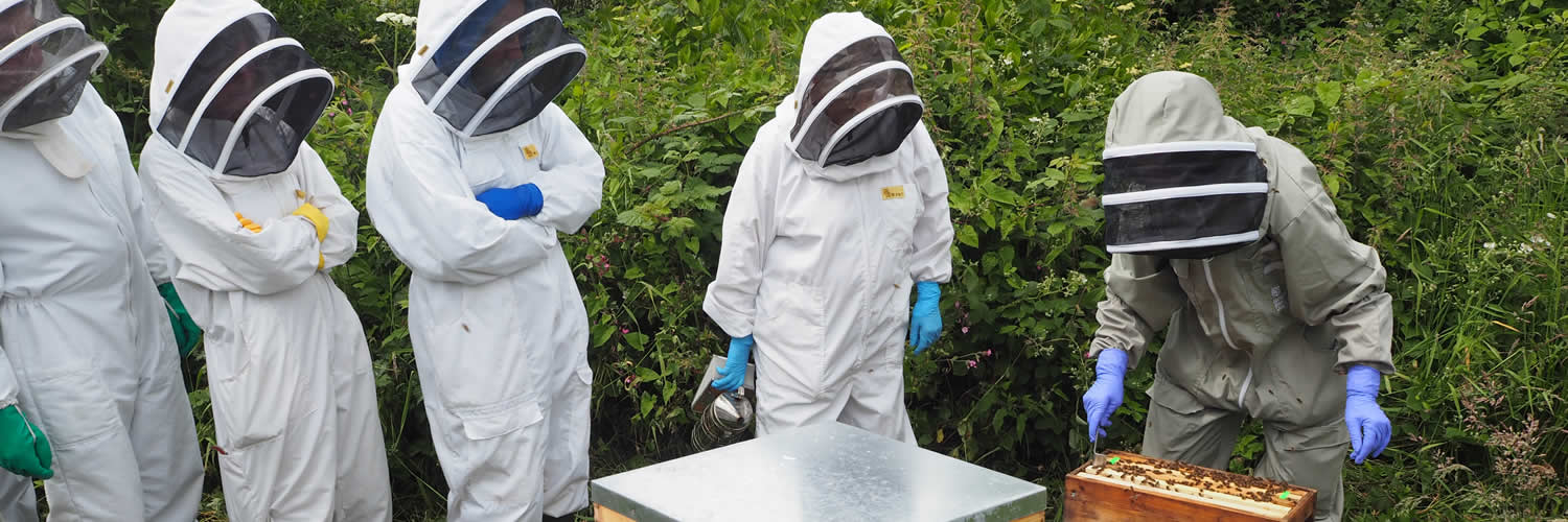 Membership - West Cornwall Beekeepers' Association