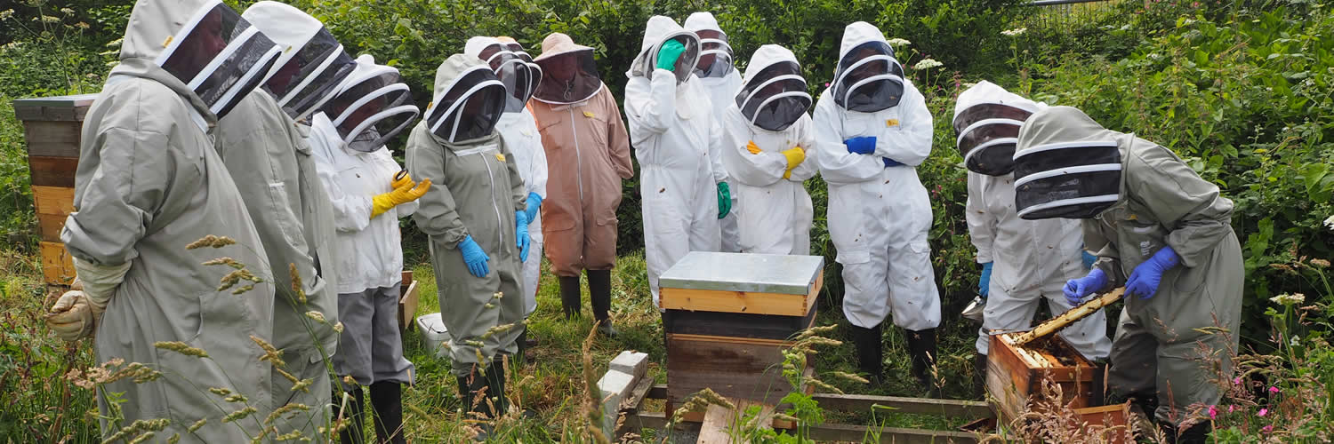 members at the west cornwall beekeepers training apiary