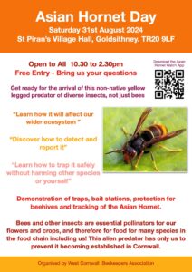 asian hornet day poster